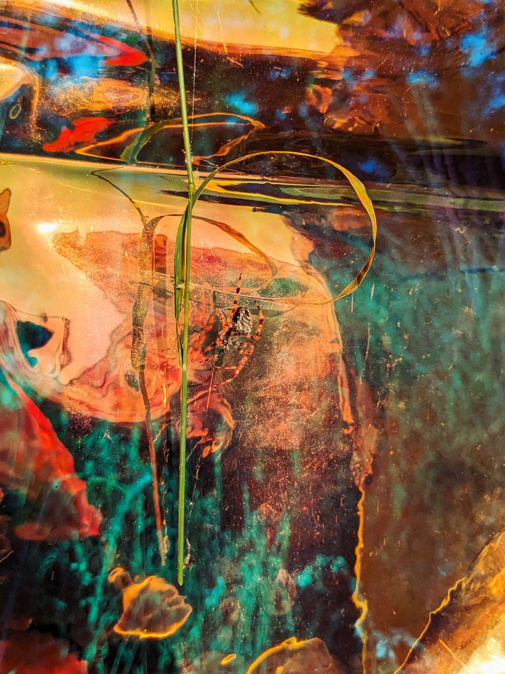 Den Zenith immer weiter / The zenith, ever further, 2023 (aluminium sublimation print, 60 × 45 cm)