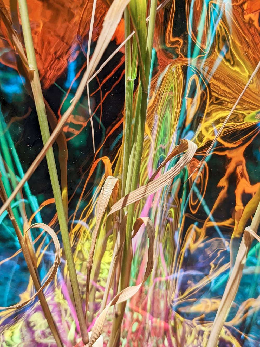 Euydikes Wiederkehr / Eurydice’s Return to Light, 2022 (aluminium sublimation print, 60 × 45 cm)