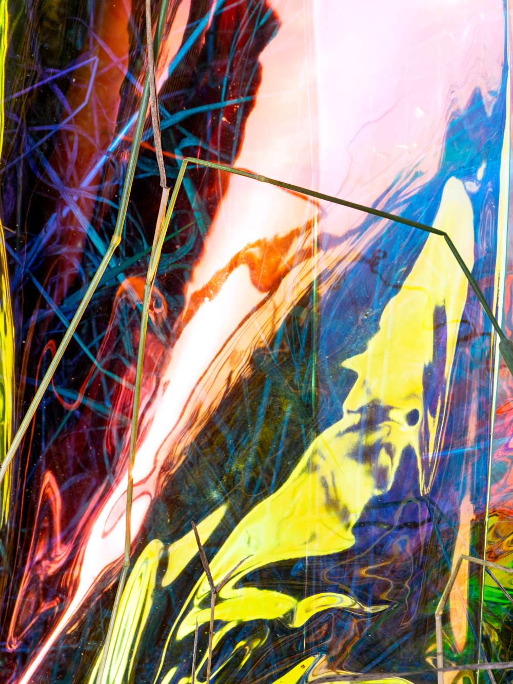 L'oiseau mouche, 2023 (aluminium sublimation print, 60 × 45 cm)