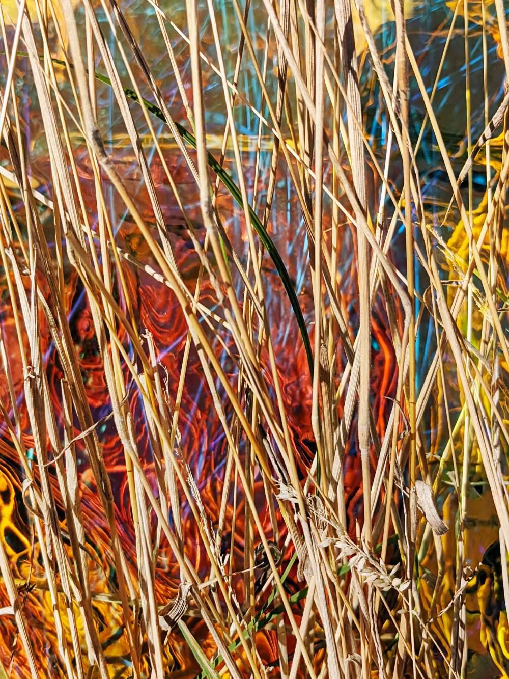 Verhoffte Farbenwirrnis I / Desired chromatic turmoil II, 2022 (aluminium sublimation print, Diptychon, each 60 × 45 cm)