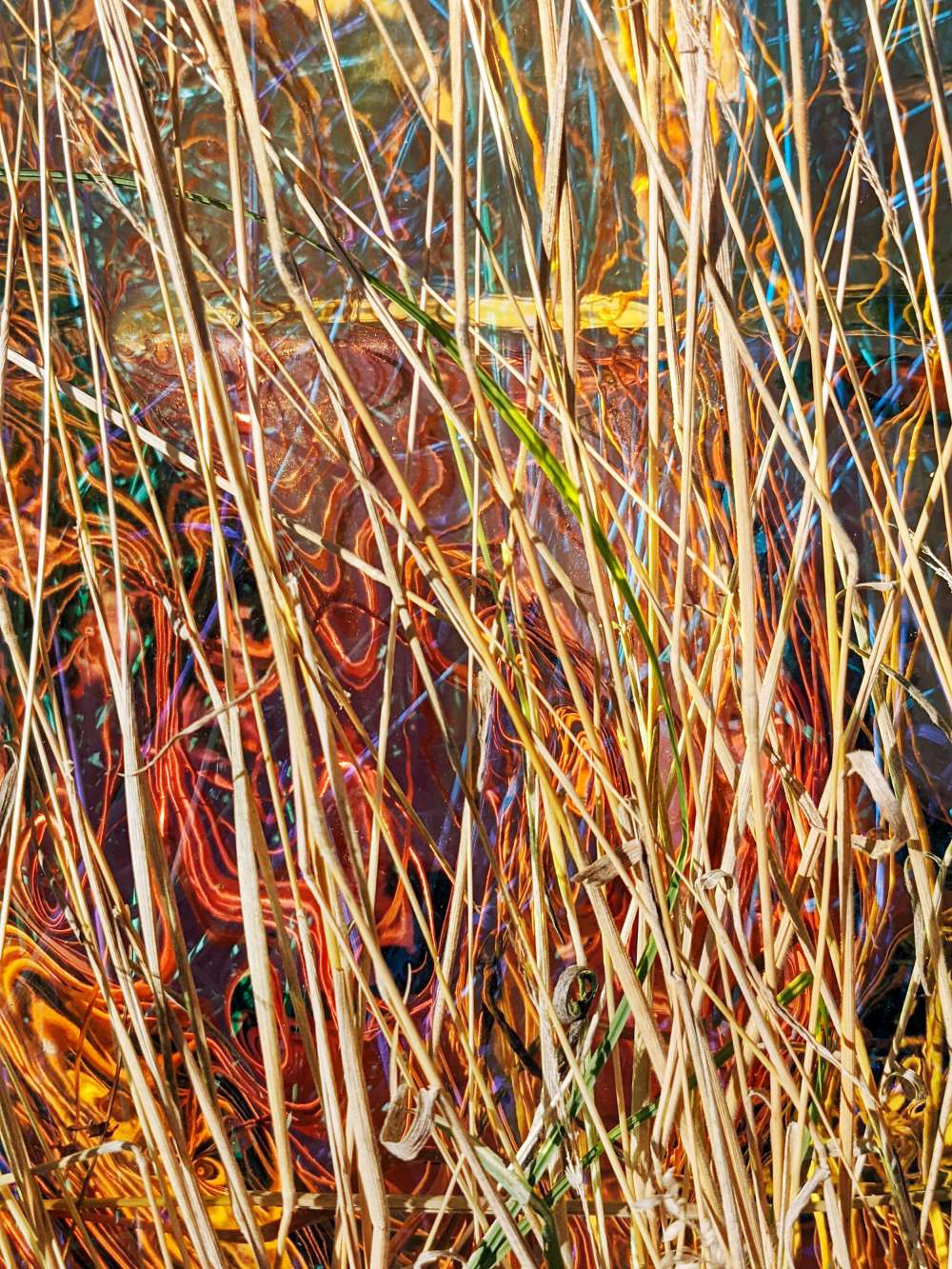 Verhoffte Farbenwirrnis II / Desired chromatic turmoil II, 2022 (aluminium sublimation print, Diptychon, each 60 × 45 cm)