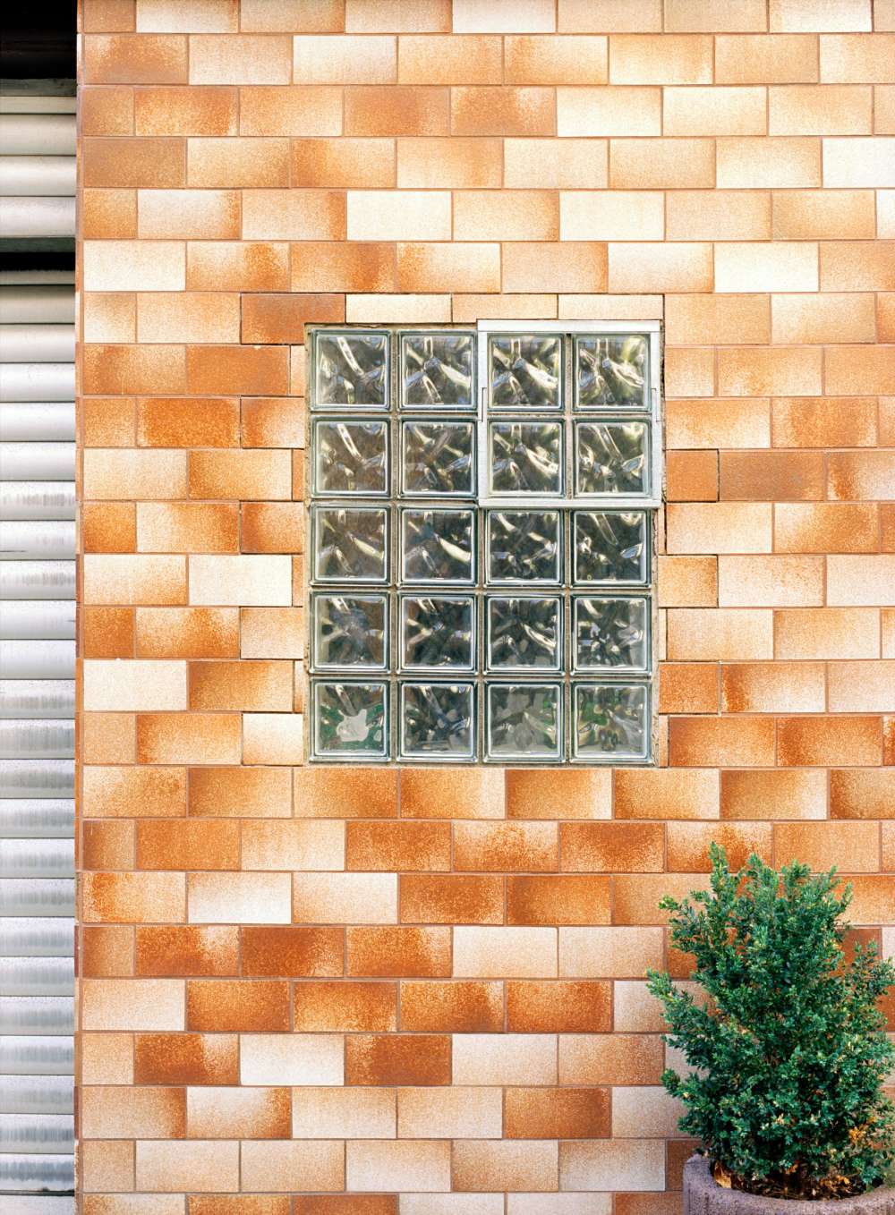 Untitled (glas, brick and bush), 2016, 60x45cm